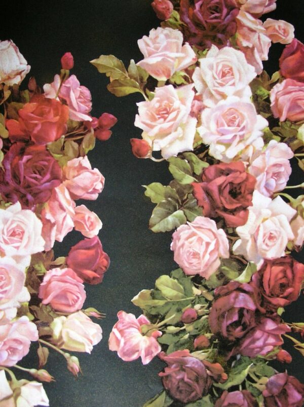 Geschenkpapier Bogen Rose, 50x70cm, VE 250 Bögen