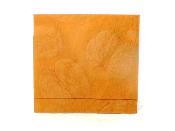 Basics Colour CD-Cover Algier