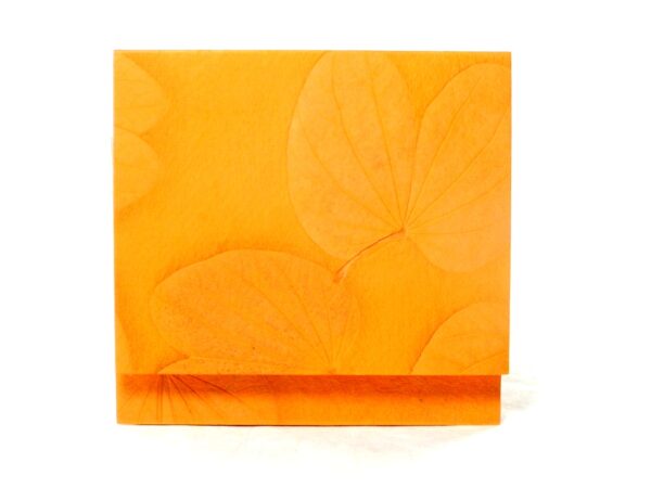 Basics Colour CD-Cover Orange