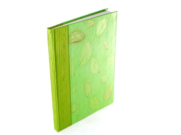Basics Colour Tagebuch XL Pisello