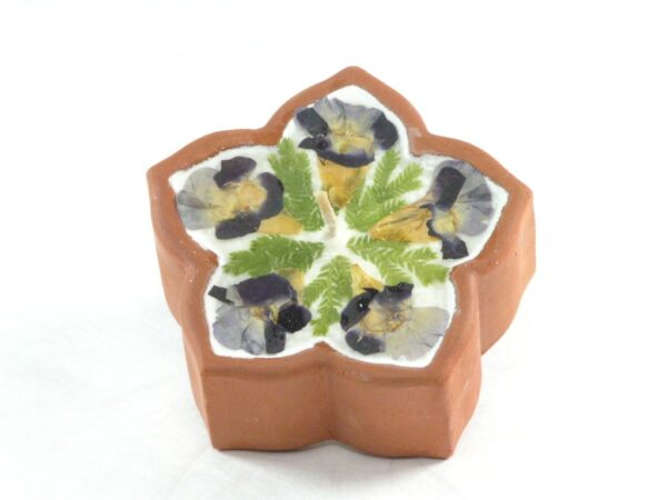Flowers Duftkerze Stern in Tonschale in Box